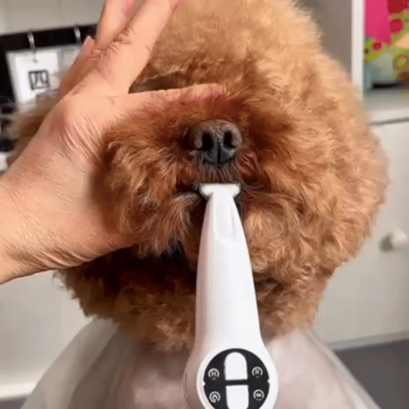 2-in-1 Trim & Vijl Elektrische Nagelvijl Trimmer & Grinder Voor Veilige Verzorging