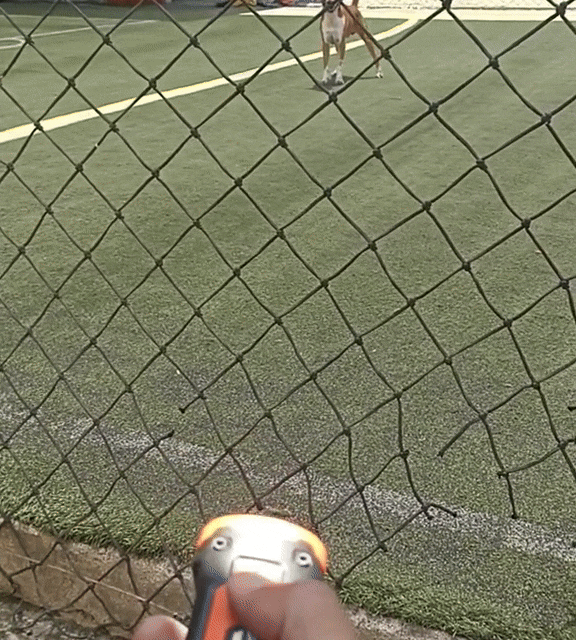 Anti Blaf Apparaat Stop Blaffen Direct, Veilig & Diervriendelijk